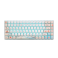 Bàn phím cơ Gaming Rapoo MT510PRO