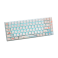 Bàn phím cơ Gaming Rapoo MT510PRO